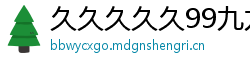 久久久久久99九九九精品网站
